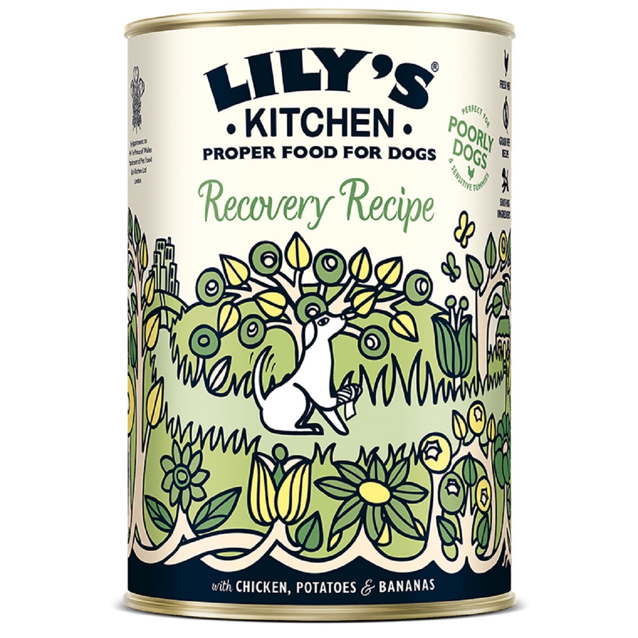 Lily's Kitchen Adult Dog Food Wet Can Recovery Recipe 400g x 6