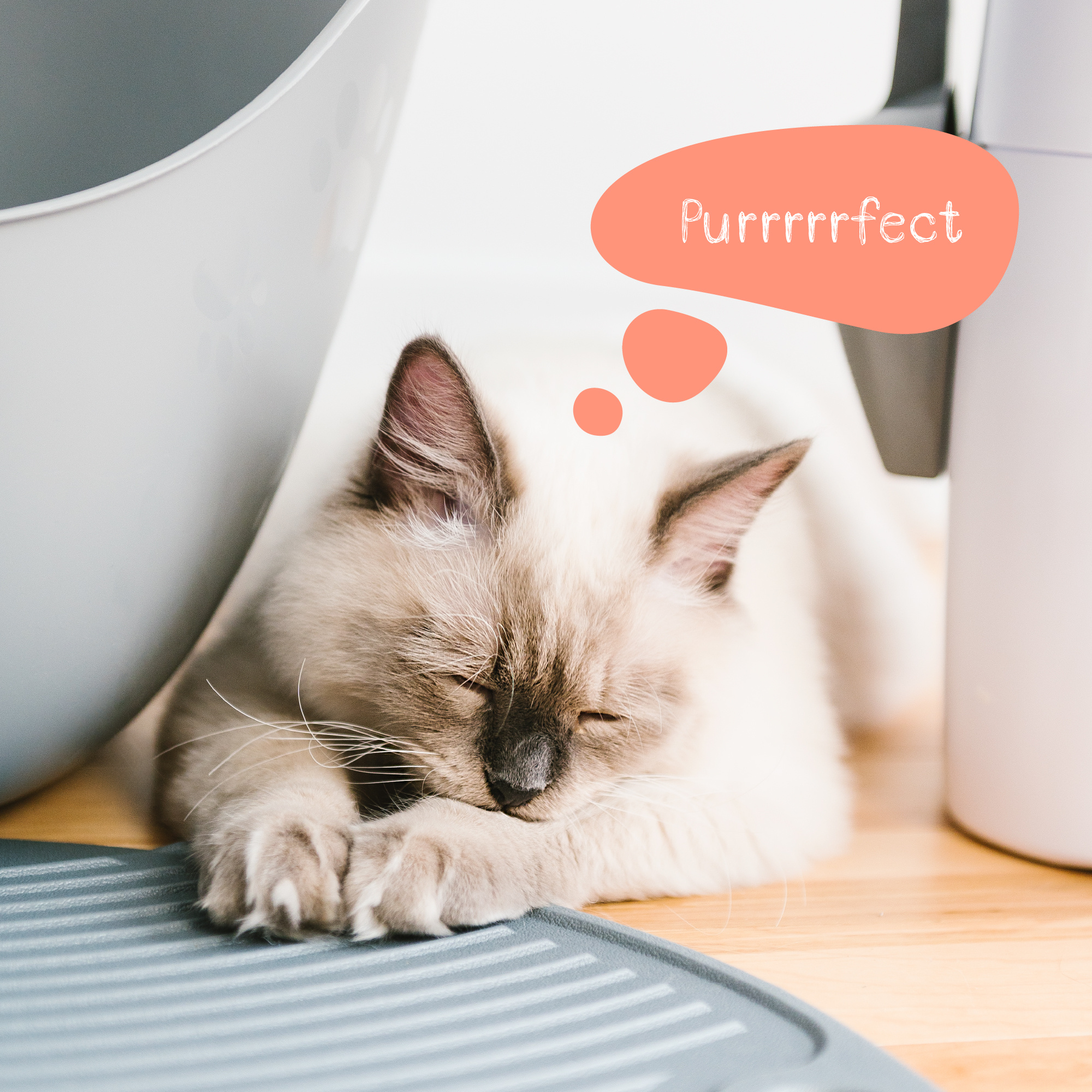 Litter Genie Cat Litter Box Mat