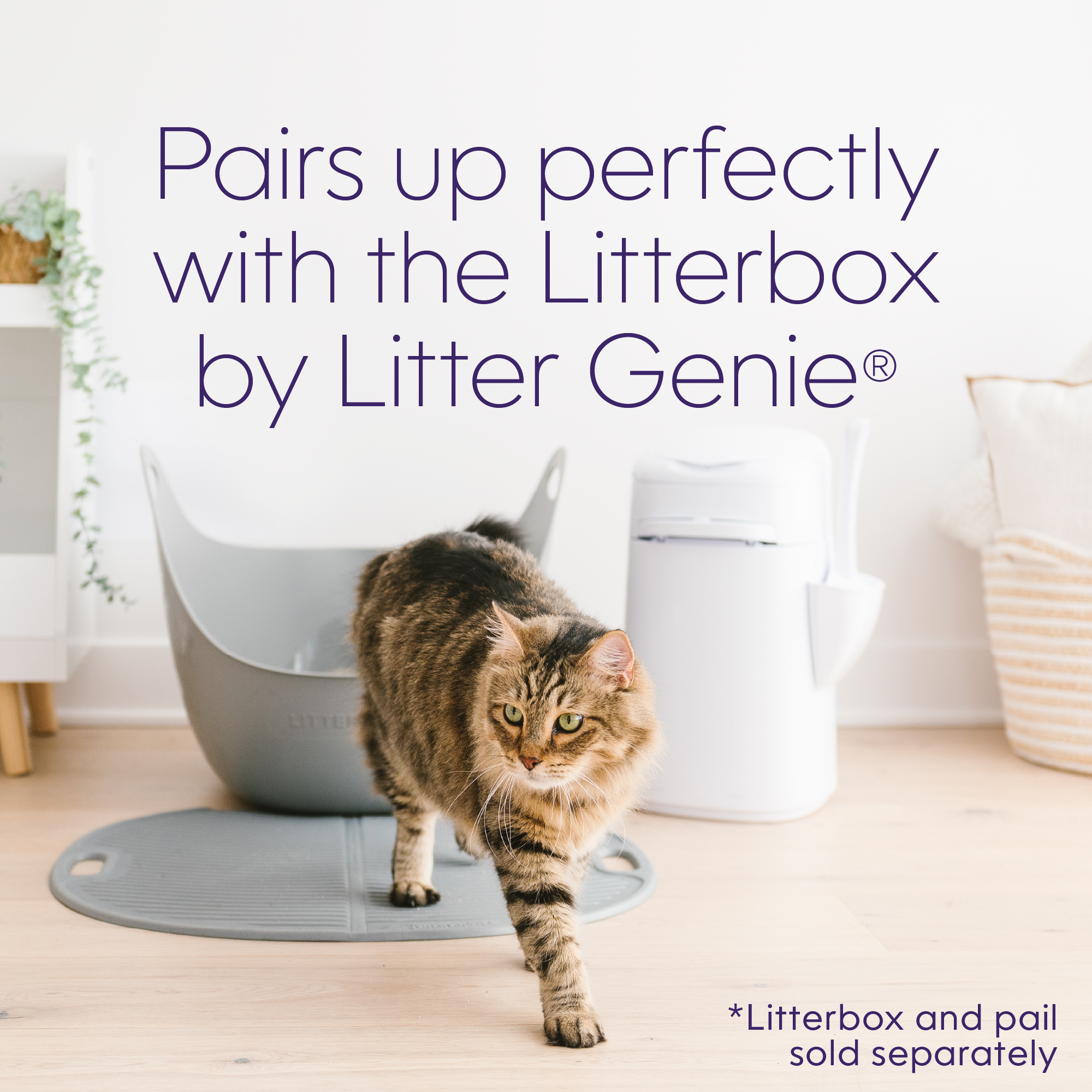 Litter Genie Cat Litter Box Mat