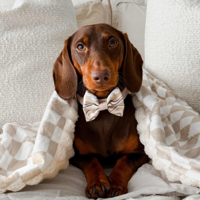 Little Ginger Bow Tie - Cafe Latte Swirl