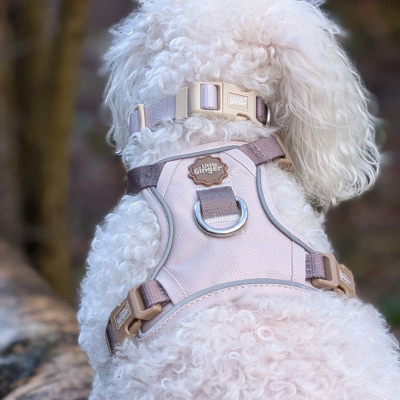 Little Ginger Control Harness Cafe Latte 