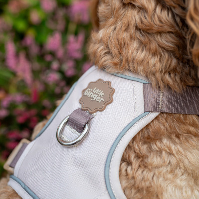 Little Ginger Control Harness Cafe Latte 