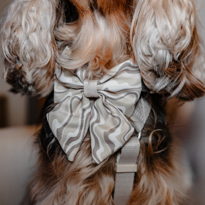 Little Ginger Sailor Bow - Cafe Latte Swirl