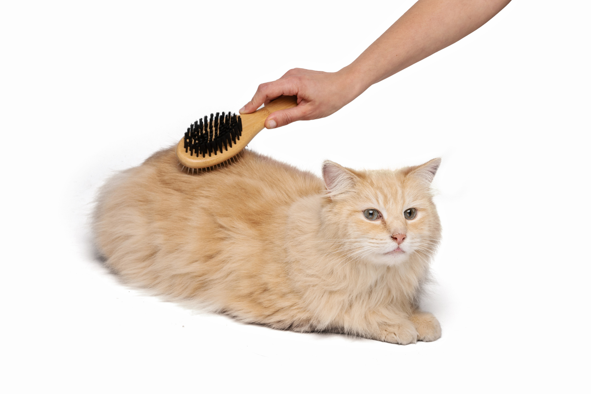 M-PETS Bamboo Double-Sided Pin Brush