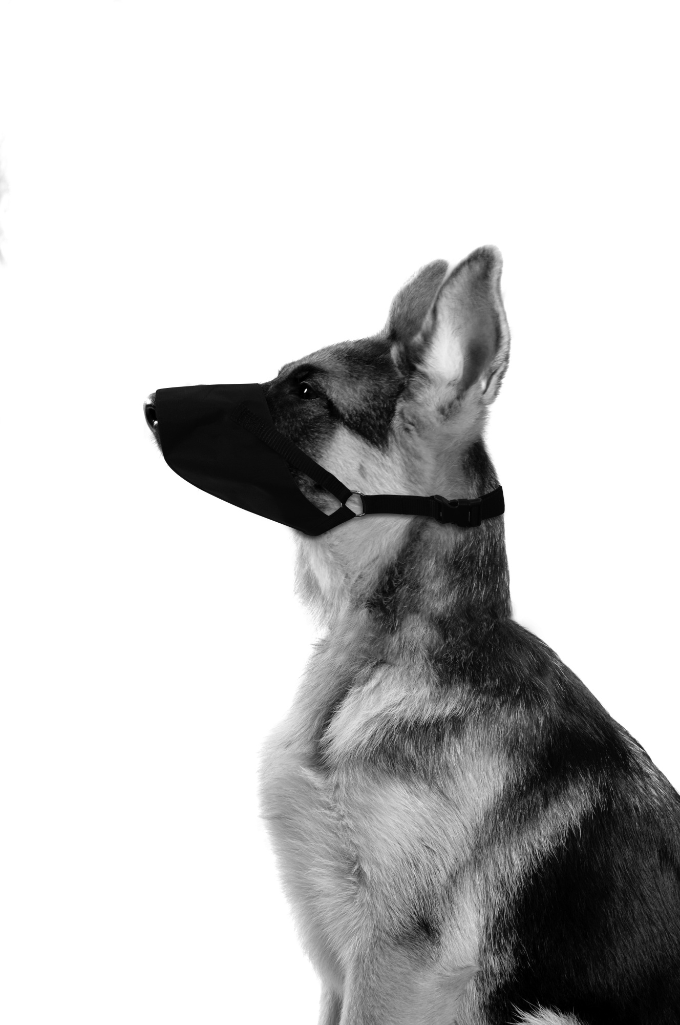 M-PETS Flexi Dog Muzzle 