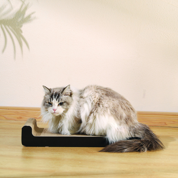 M-PETS My Scratchy Montana Cat Cardboard Scratchers