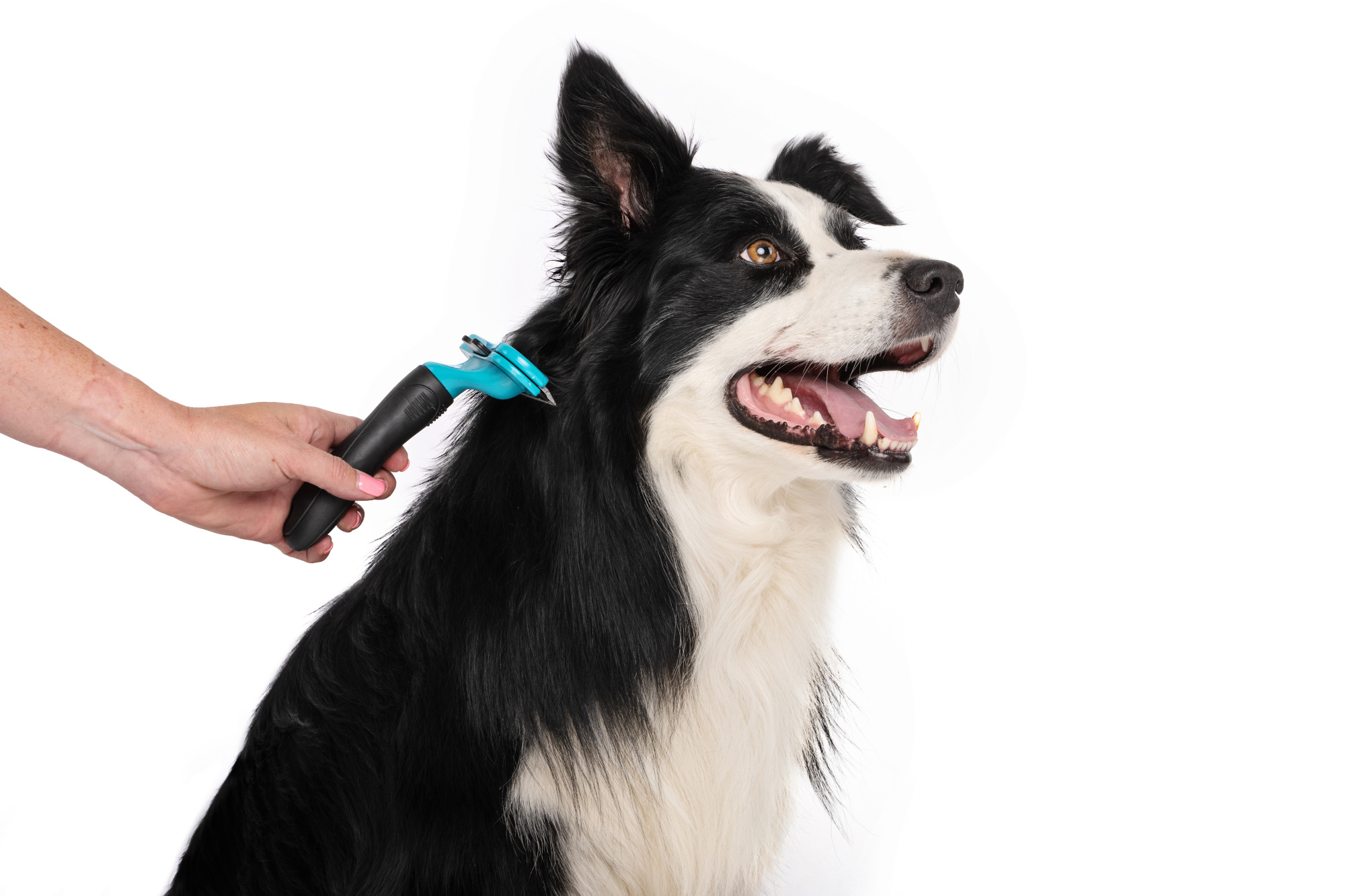 M-PETS Stylus Deshedding Brush - Large