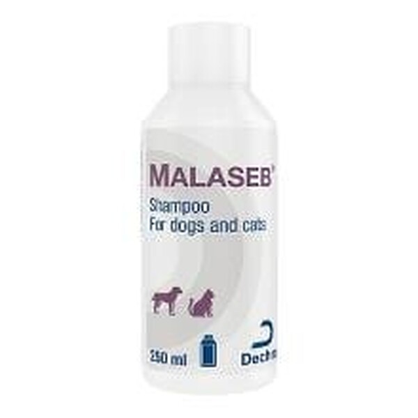 Malaseb Shampoo for Dogs and Cats - Main Image