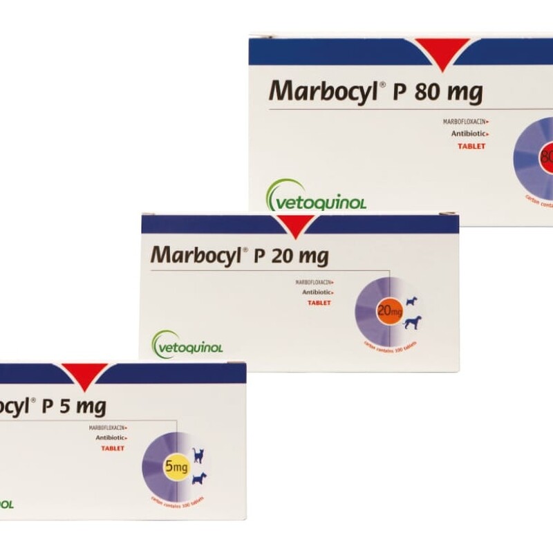 Comprimés Marbocyl