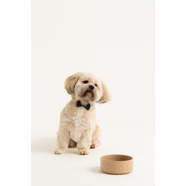 Mason Cash Pot Dog Bowl Cane 