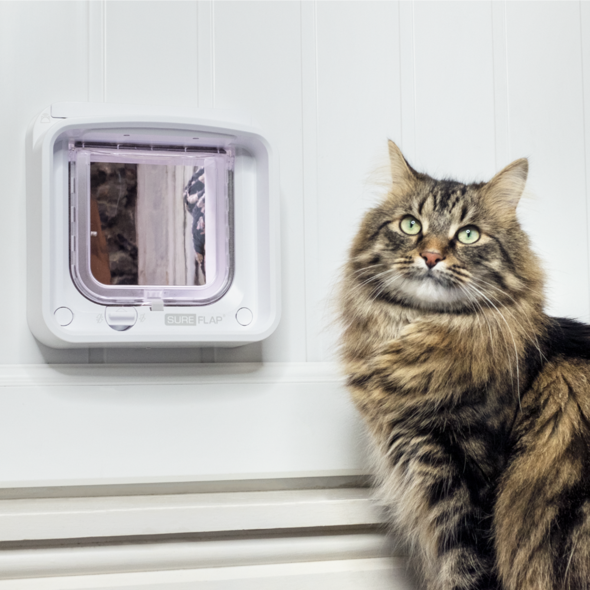SurePet Microchip Cat Flap Connect - White and Hub