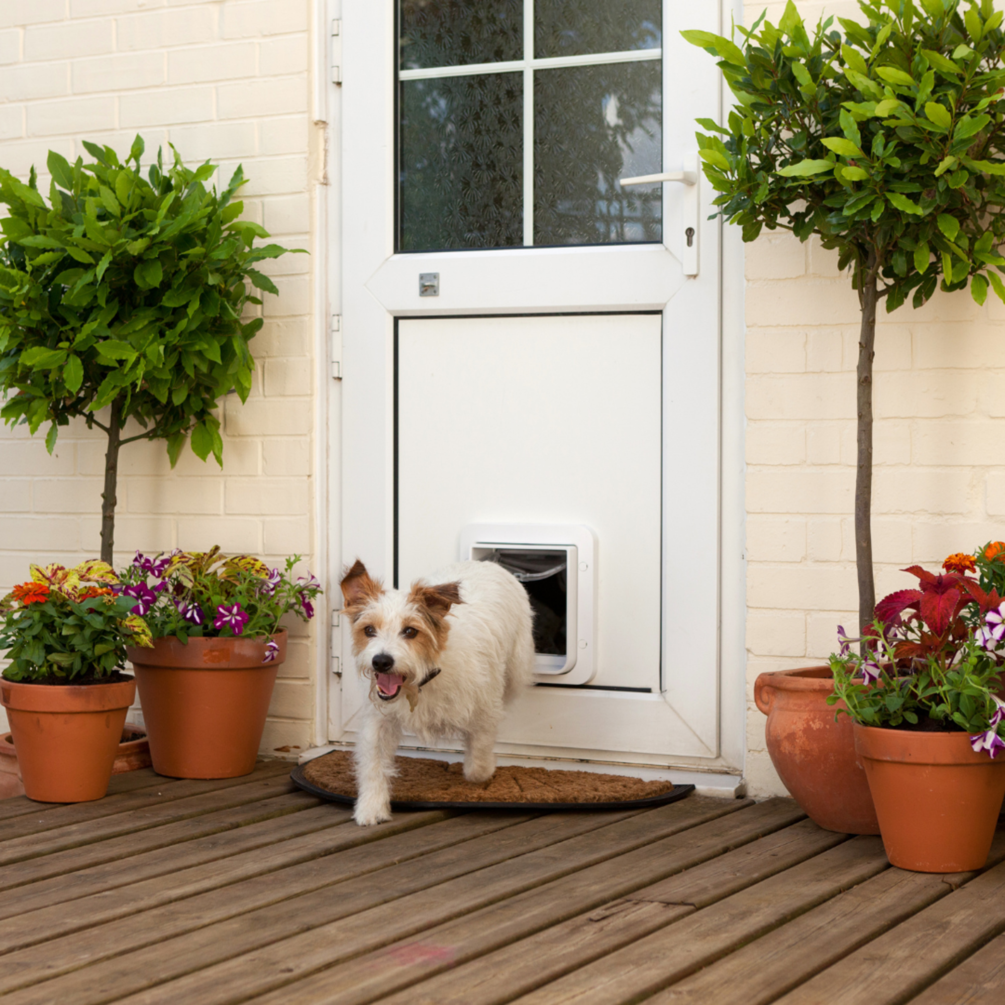 Microchip Pet Door - Brown