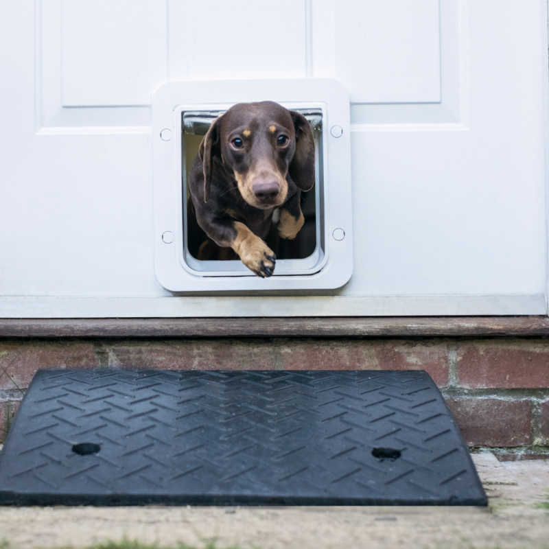 A closer look at Microchip Pet Door Access Control Systems
