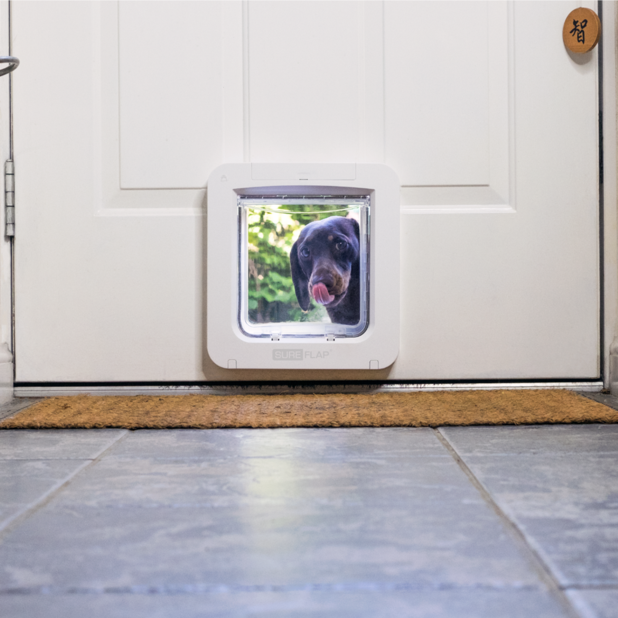 Microchip Pet Door Connect - White