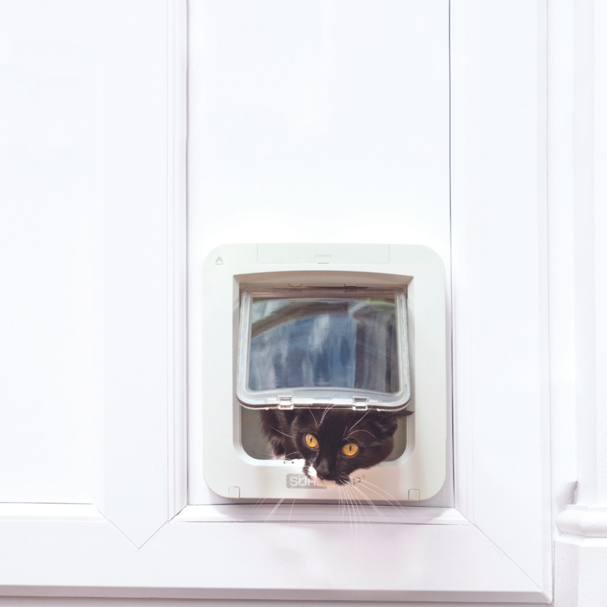 Microchip Pet Door Connect - White