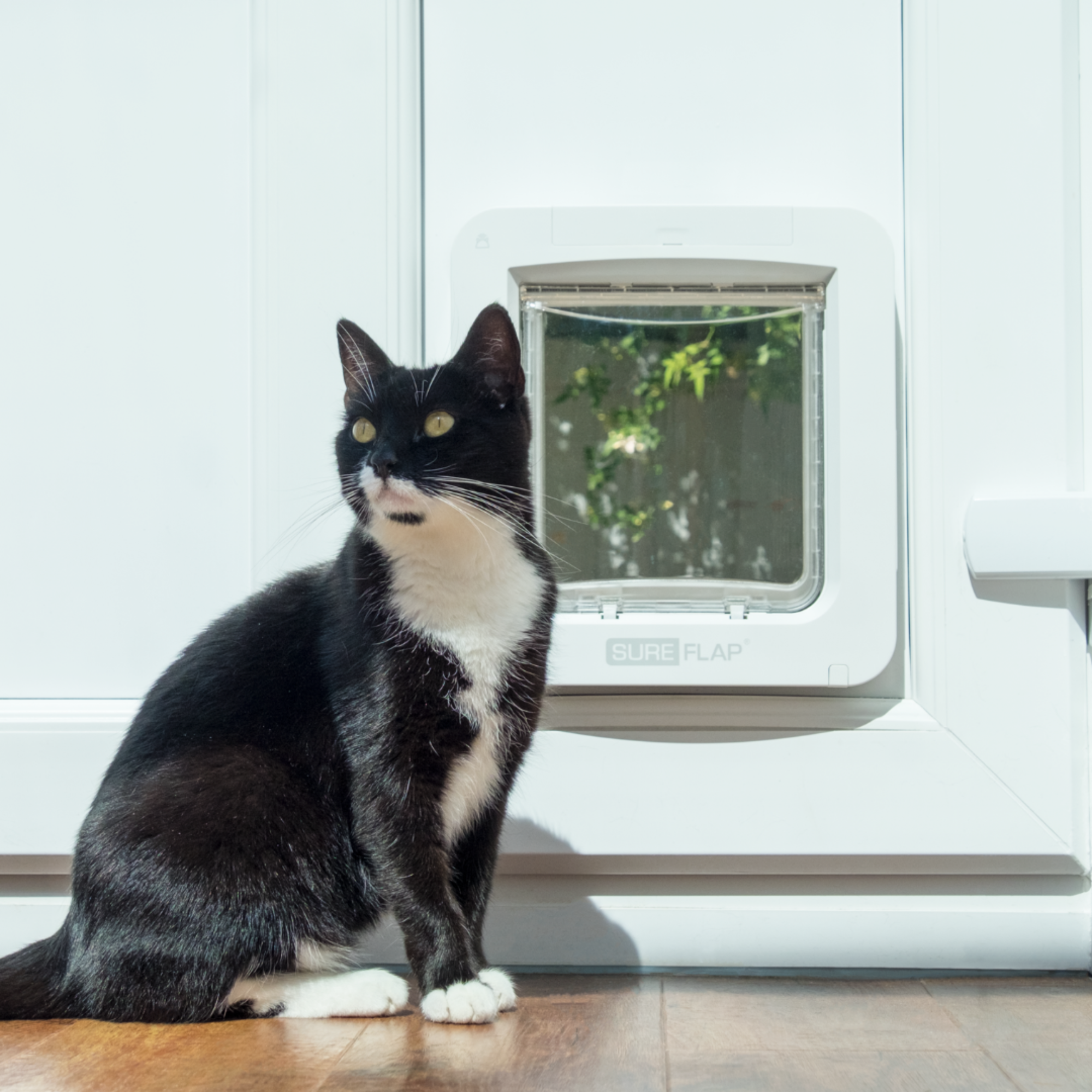 Microchip Pet Door Connect - White