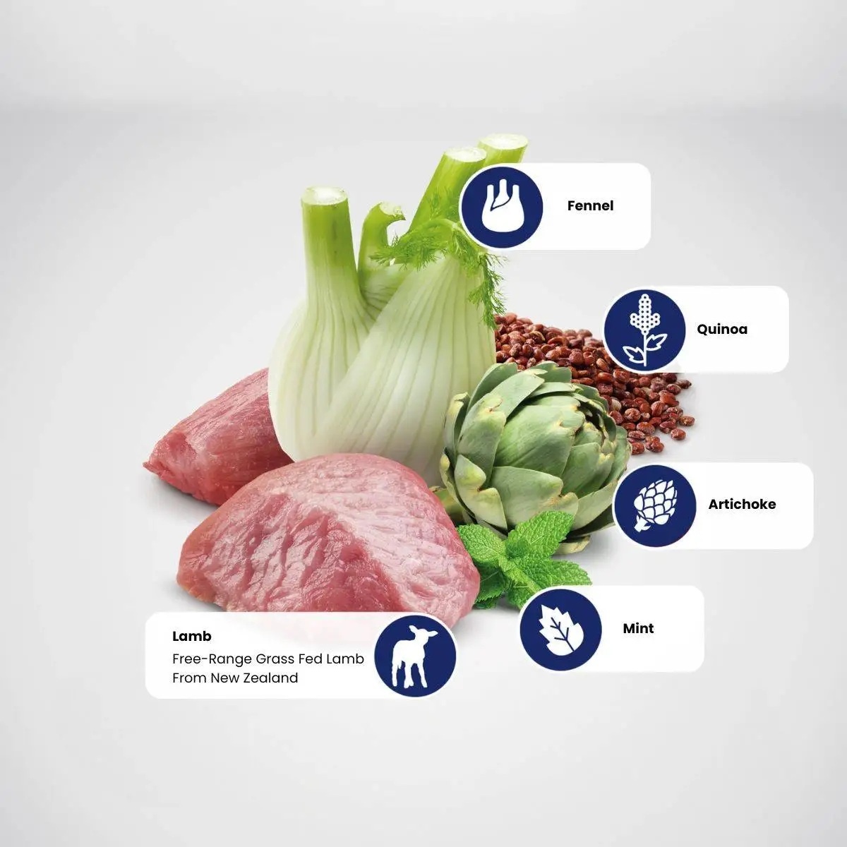 Farmina N&D Quinoa Dog Digestion. Lamb & Fennel Adult Medium/Maxi 7 Kg