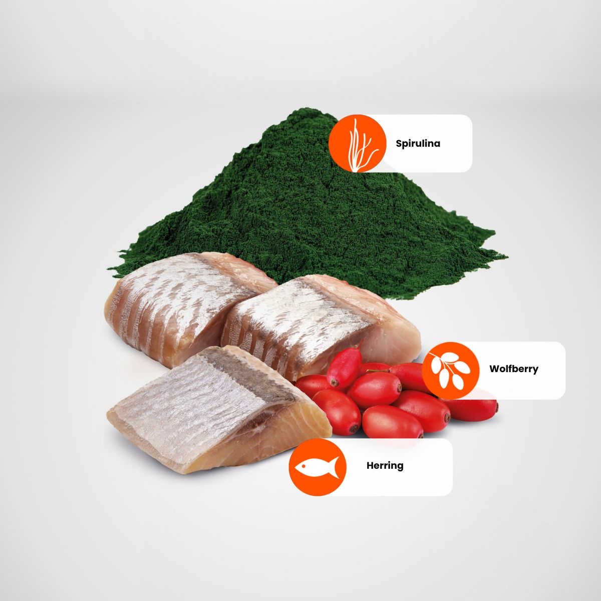 Farmina N&D Spirulina Herring Adult Mini 2 Kg