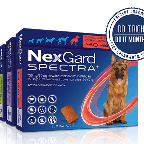 NexGard Spectra Tablets for Dogs - Main Image