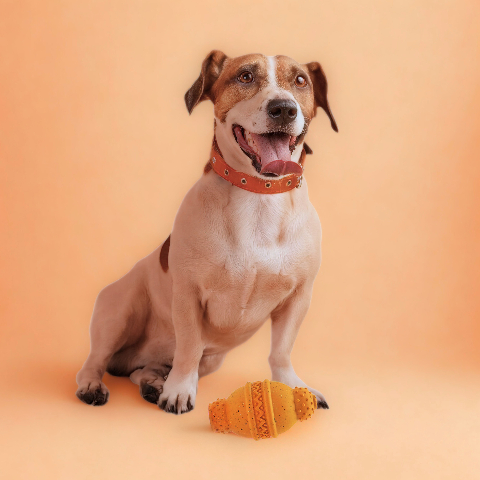 Nike Grind Cannon Chew Toy & Treat Dispenser Small/Medium Dog Toy