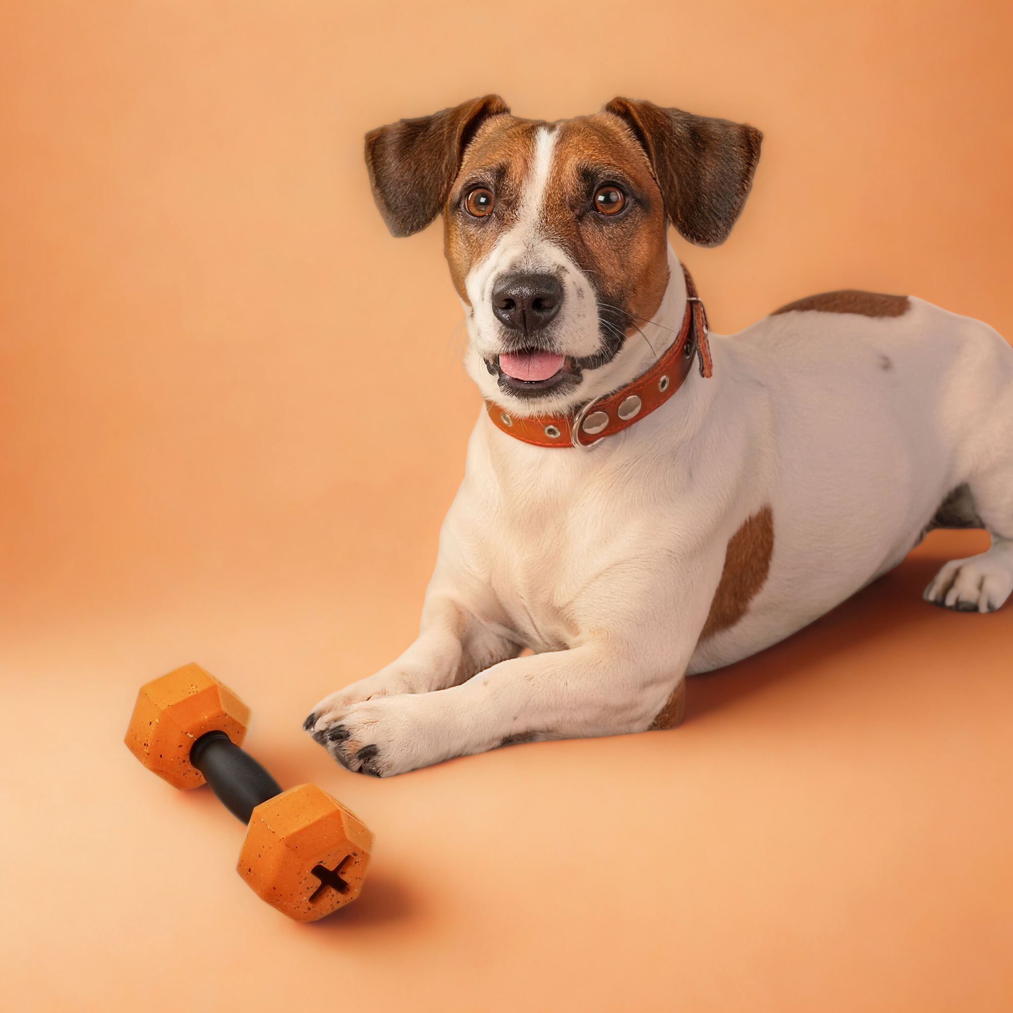 Nike Grind Dumbell Chew Toy & Treat Dispenser Small/Medium