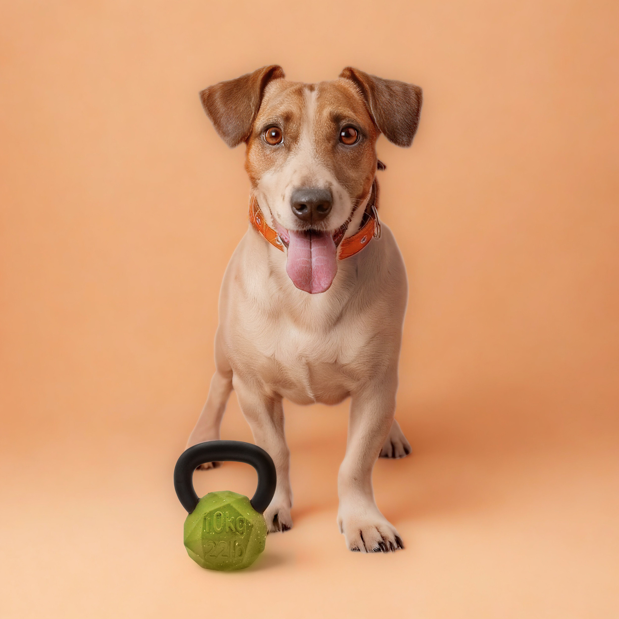 Nike Grind Kettle Ball Chew Toy & Treat Dispenser Small/Medium Dog Toy