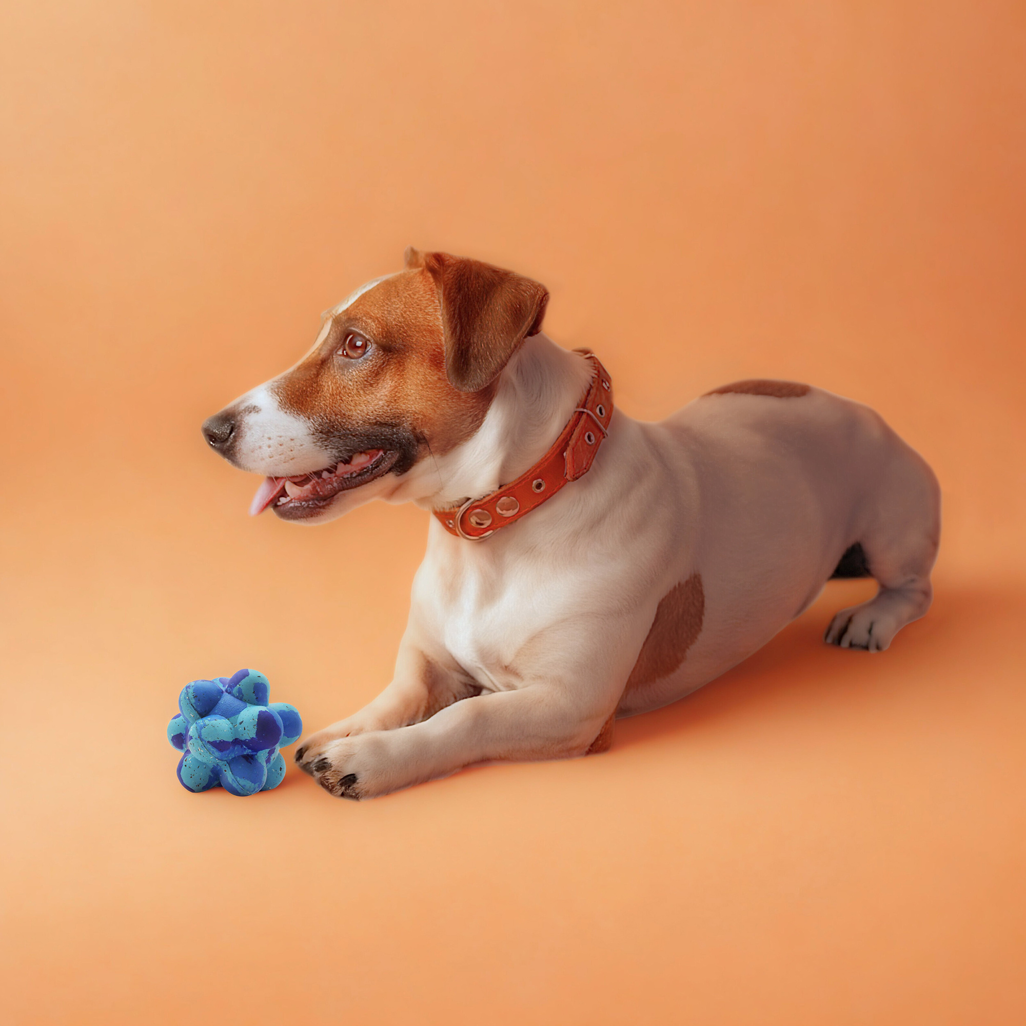 Nike Grind Pop It Ball  - Chew & Play Small/Medium Dog Toy