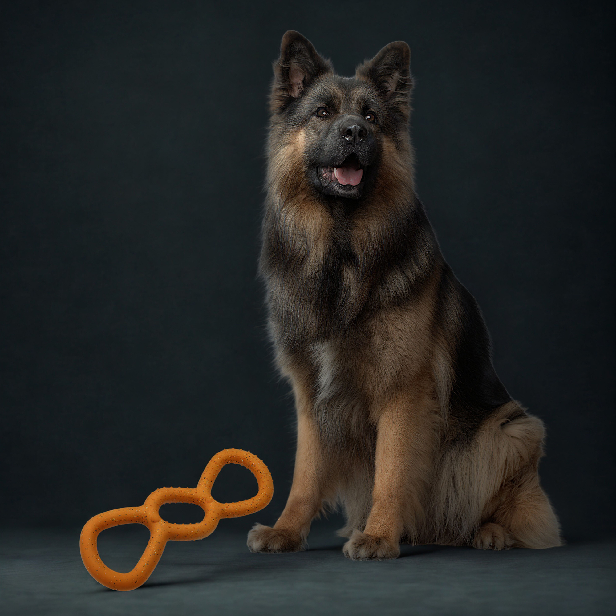 Nike Grind Tug Dog Toy
