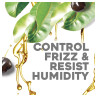 OGX Hydrate & Defrizz Kukui Oil Conditioner