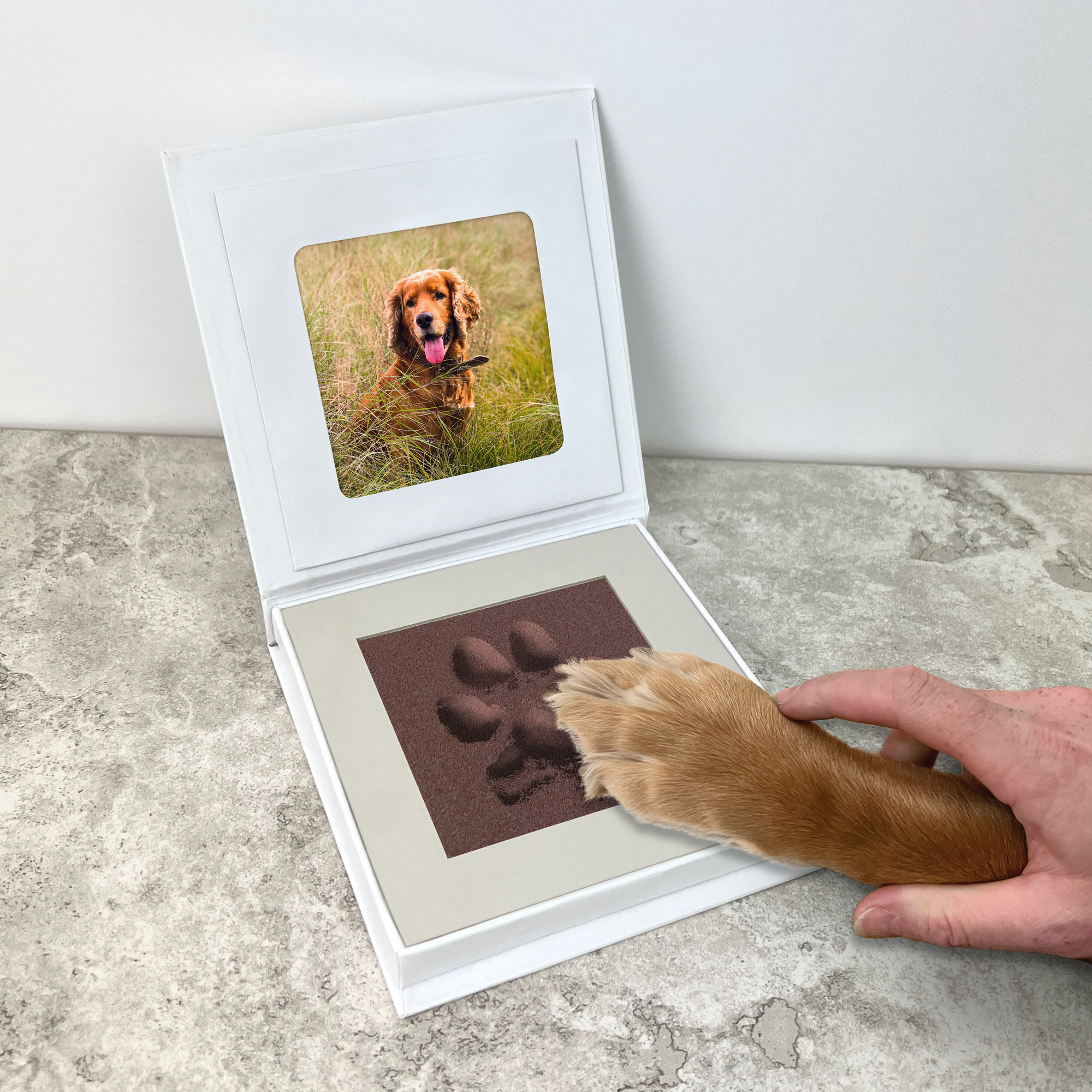 Oh So Precious Paw Pad Impression Kit