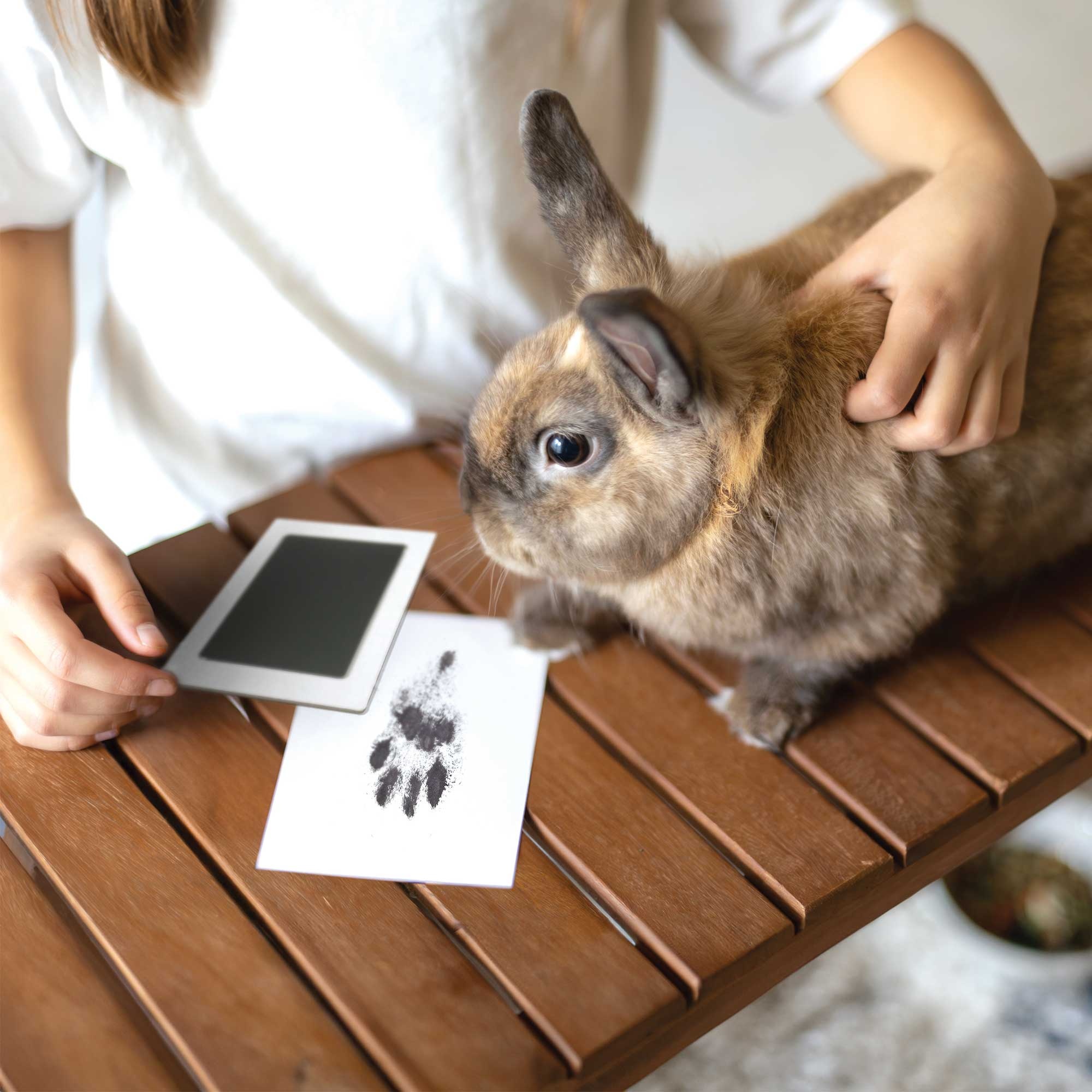 Oh So Precious Paw Print Non-Toxic Ink Pad - For tiny paws