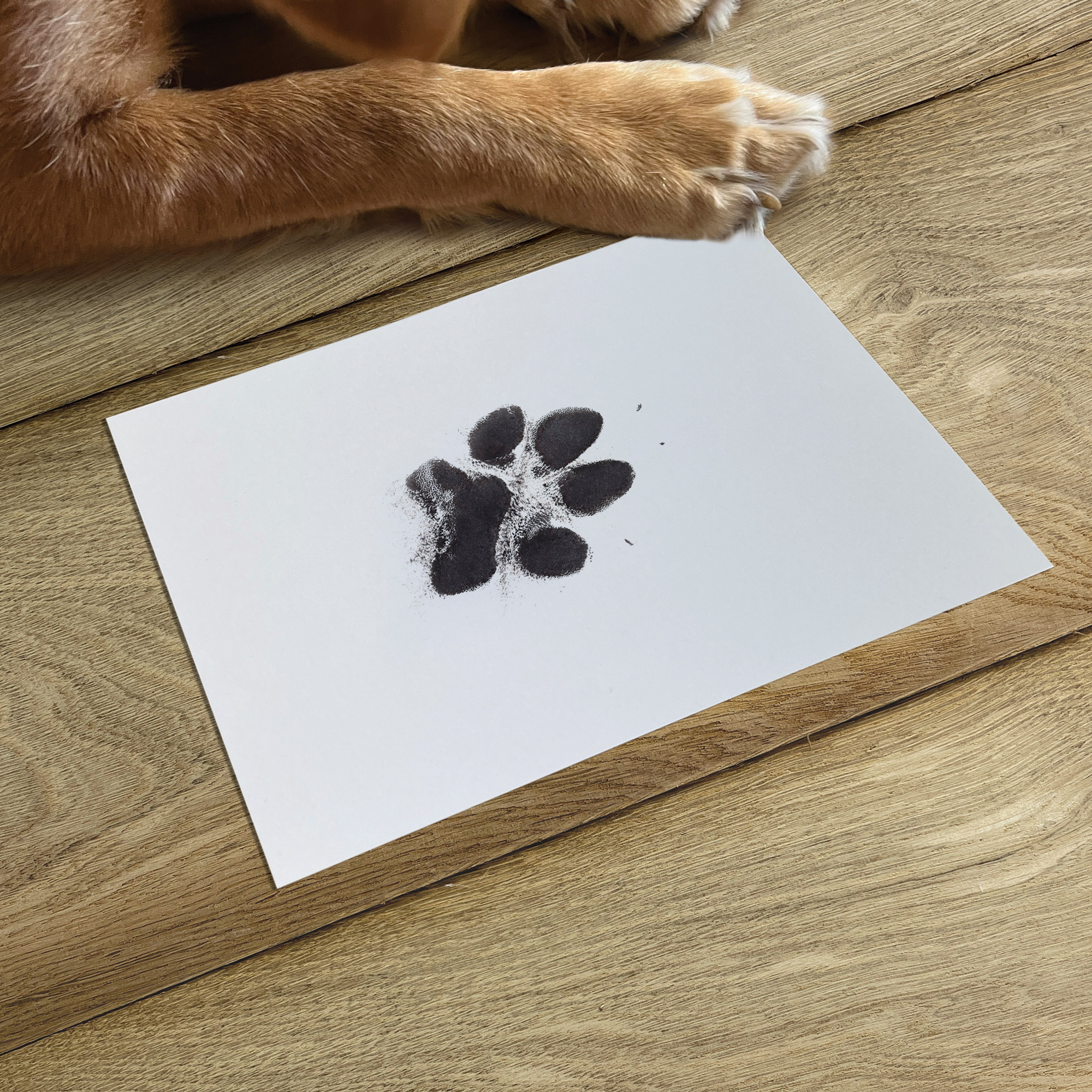 Oh So Precious Pet Safe Non-toxic Paw Print Ink Pad Kit