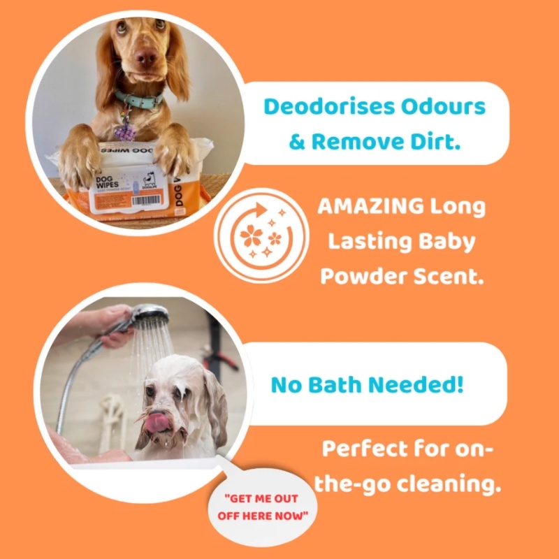 OurDogsLife Dog Baby Powder Scented Wipe 100pack