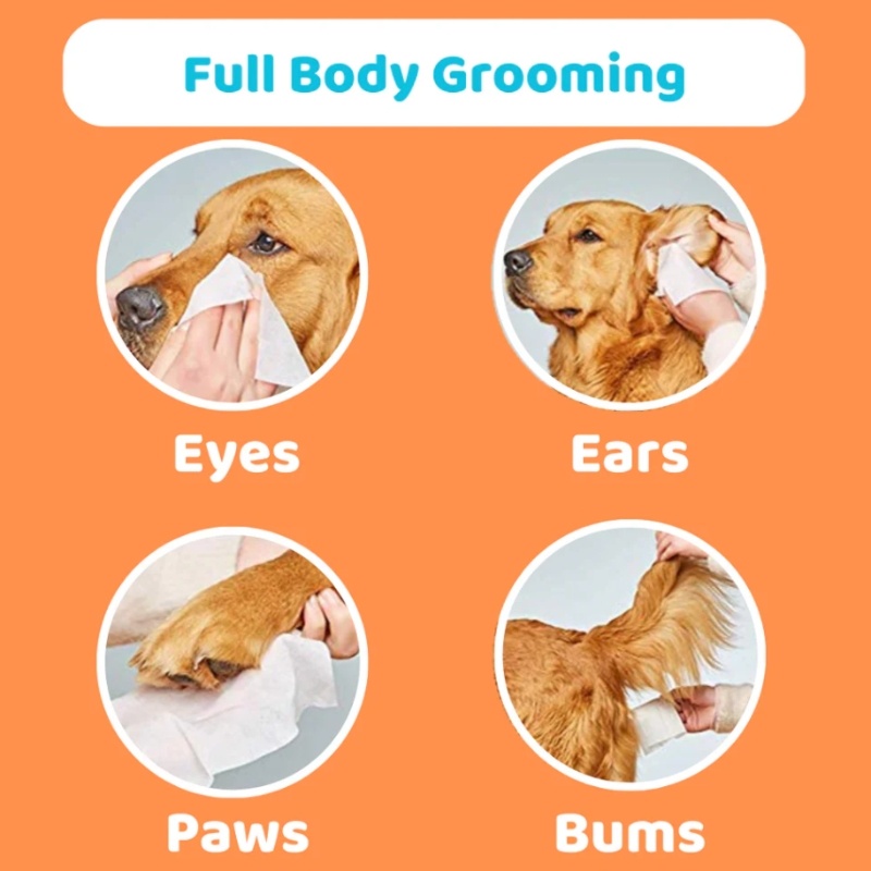 OurDogsLife Dog Baby Powder Scented Wipe 100pack