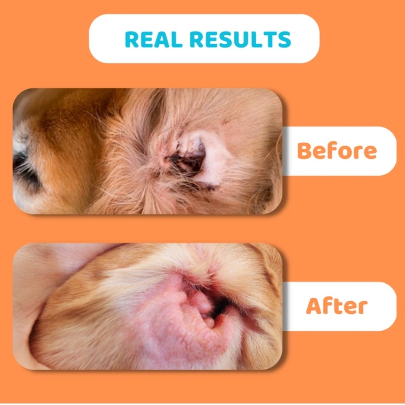 OurDogsLife Dog Ear Wipe 50pack