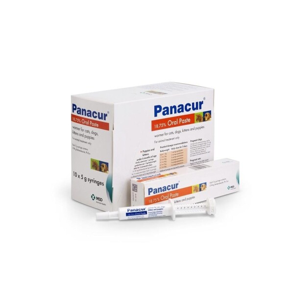 Panacur Oral Paste for Cats and Dogs Single Syringe