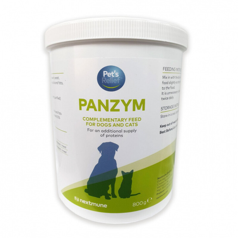 Panzym Pancreatic Enzyme Powder