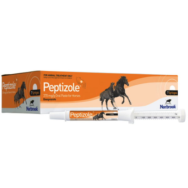 Peptizole Oral Paste for Horses Single Syringe