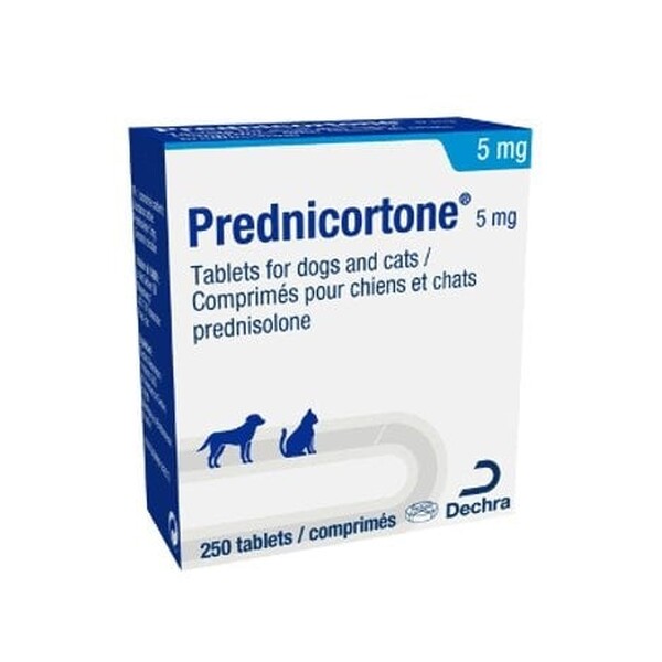 Prednicortone 5mg Tablets for Dogs and Cats Single Tablet