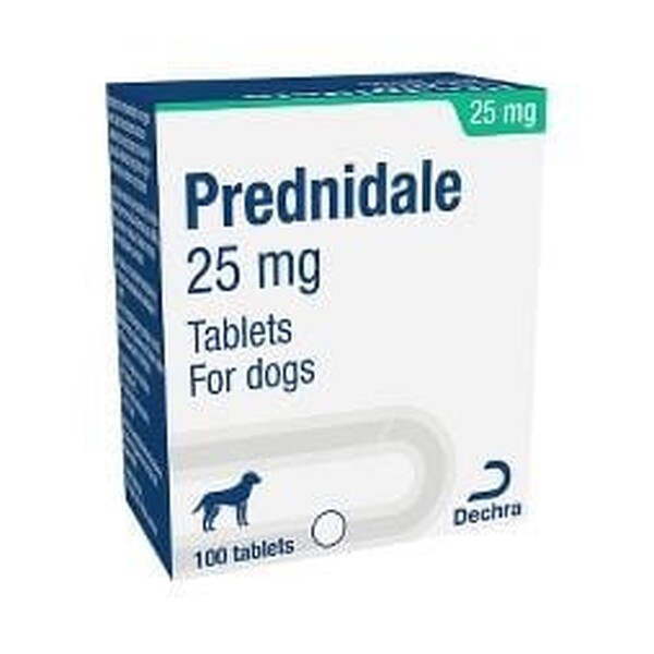 Prednidale Tablets Single Tablet 25mg
