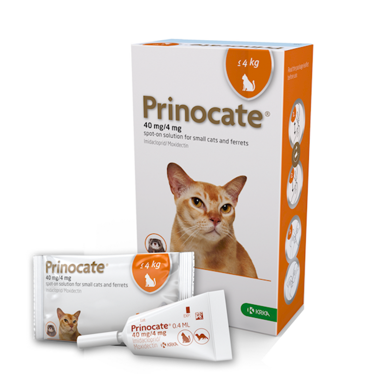 Prinocate Spot-On Solution for Cats1