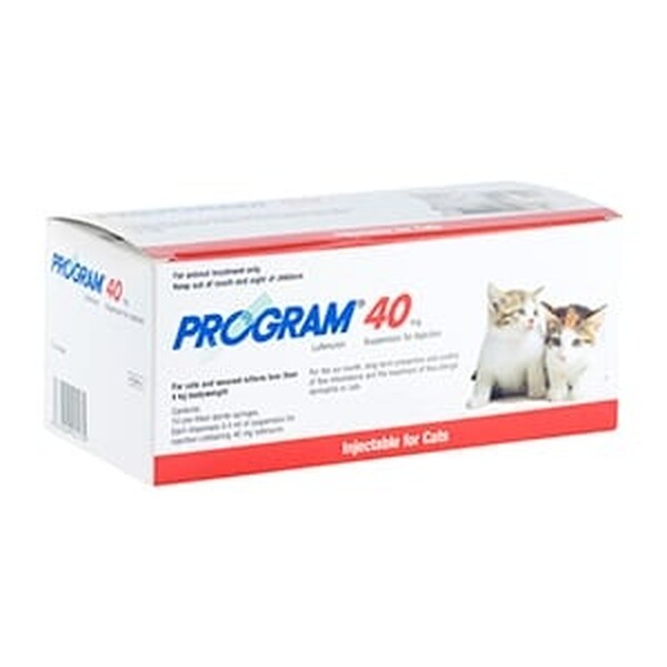 Program 40 Suspension for Injection Pack Of 10 Pack of 10