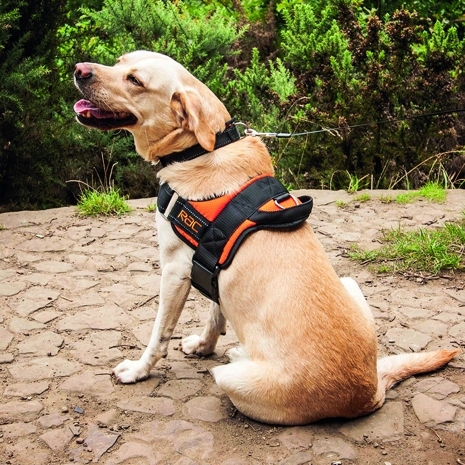 RAC Advanced Walking Harness 