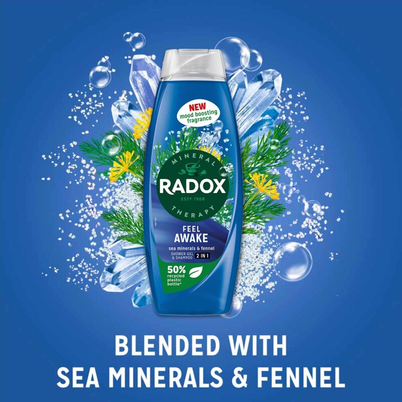 Radox 2in1 Shower Gel & Shampoo Feel Awake