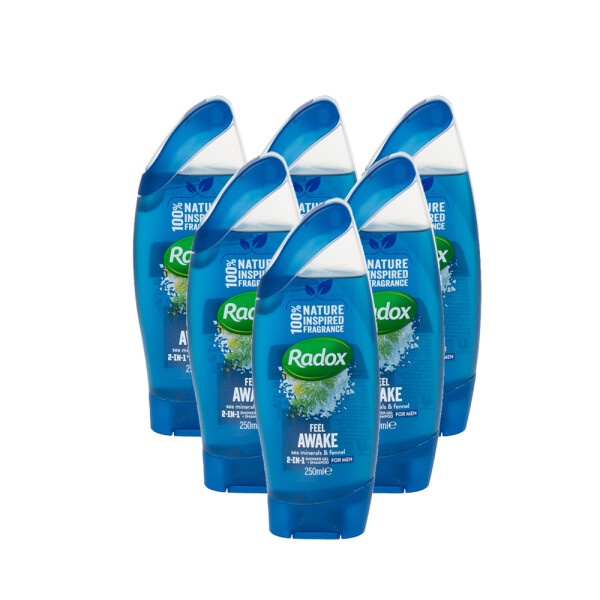 Radox Men 2in1 Shower Gel & Shampoo Feel Awake 6 Pack
