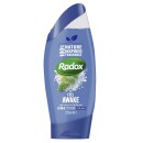 Radox Men 2in1 Shower Gel & Shampoo Feel Awake
