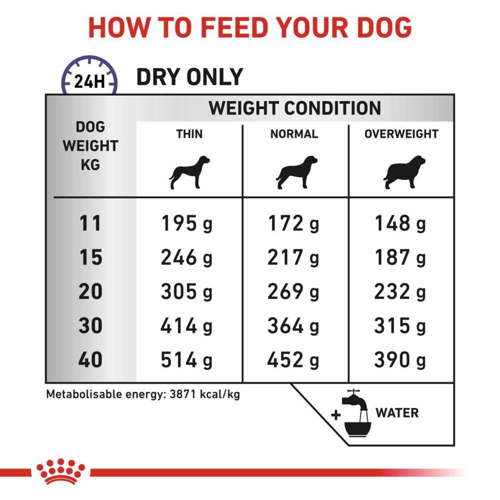 Royal Canin Dental Adult Dry Dog Food 13kg