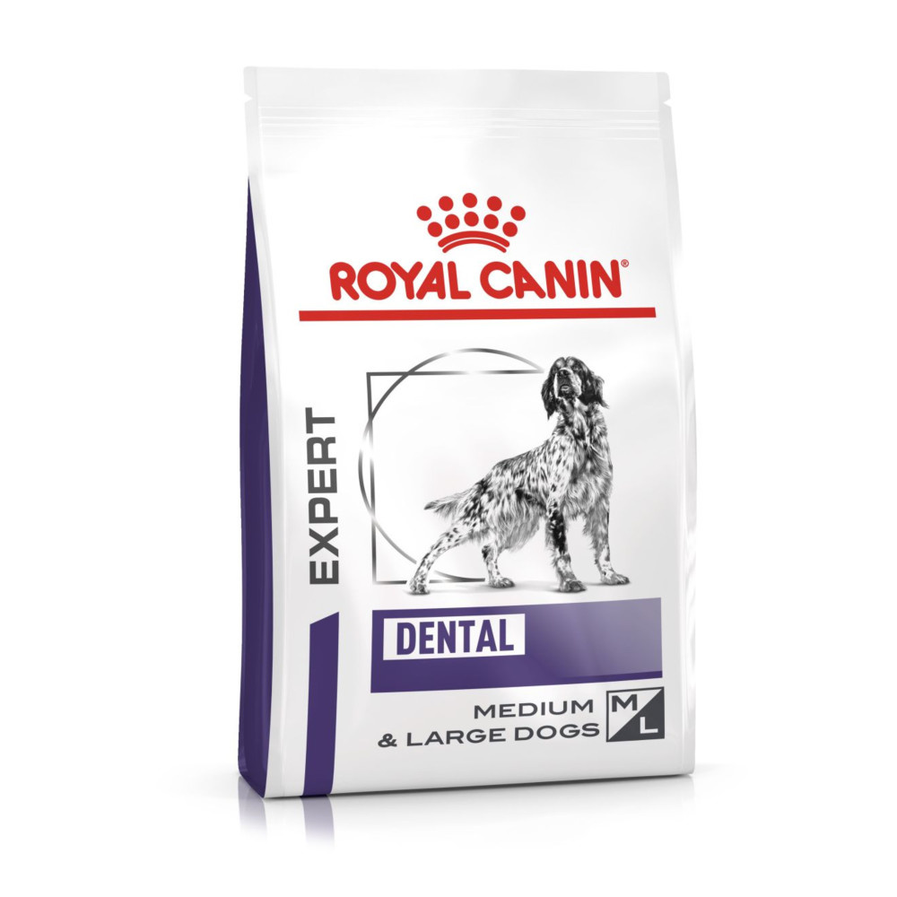 Royal Canin Dental Adult Dry Dog Food 