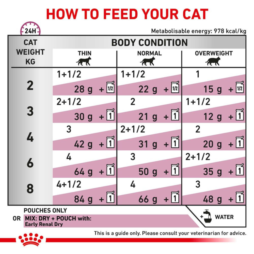 Royal Canin Early Renal Adult Wet Cat Food Thin Slices In Gravy 48x85g
