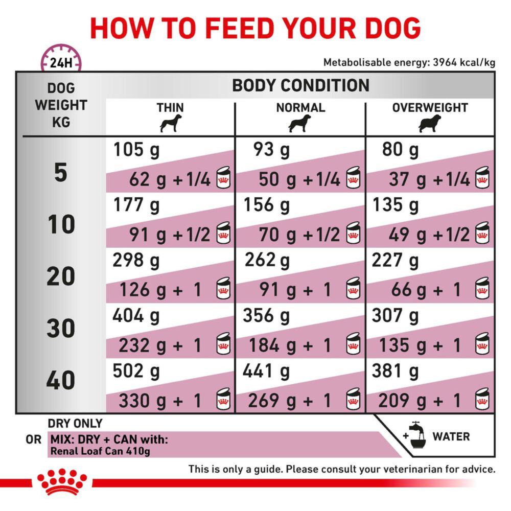 Royal Canin Early Renal Adult Wet Dog Food Thin Slices In Gravy 48x100g